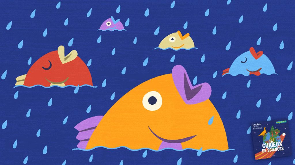 Podcast pour les enfants “Curieux de sciences” : Pourquoi la pluie est-elle douce et la mer salée ? avec Jérôme Aléon.