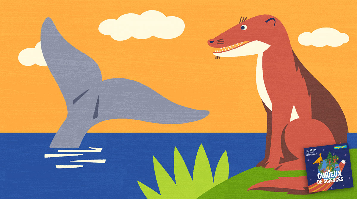 Podcast pour les enfants “Curieux de sciences” : C’est vrai que l’ancêtre des baleines ressemblait à un chien ? avec Sandrine Ladevèze.