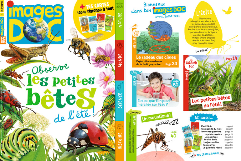 Couverture et sommaire du magazine Images Doc n°415, juillet 2023 - Observe les petites bêtes de l'été !