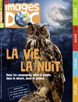 Couverture et sommaire du magazine Images Doc n°419, novembre 2023 - La vie, la nuit, dans les campagnes, dans la jungle, dans le désert, dans la savane… - Festival photo nature de Montier-en-Der, du 16 au 19 novembre !