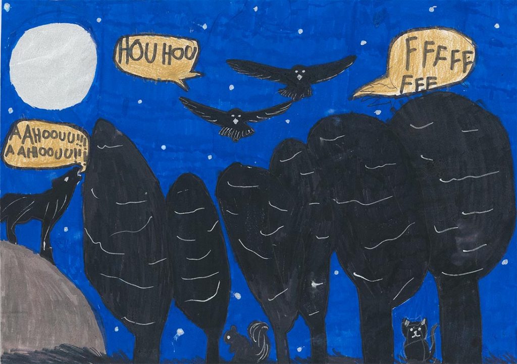 Concours de dessins - Animaux la nuit