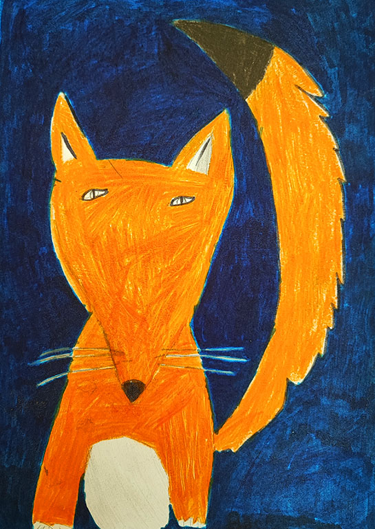 Concours de dessins - Animaux la nuit