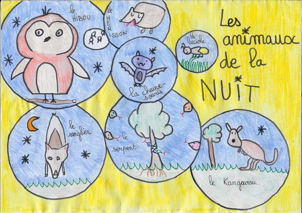 Concours de dessins - Animaux la nuit