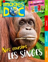 Couverture du magazine Images Doc n°425, mai 2024 - Nos cousins les singes.