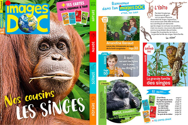 Couverture et sommaire du magazine Images Doc n°425, mai 2024 - Nos cousins les singes.
