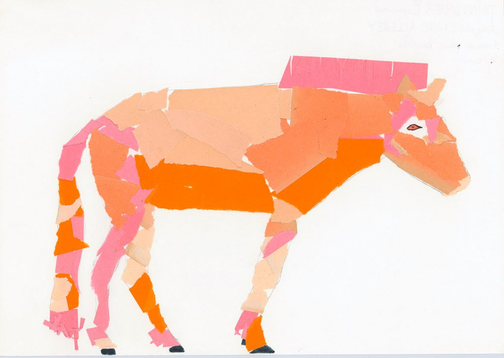 Concours de dessins - Cheval