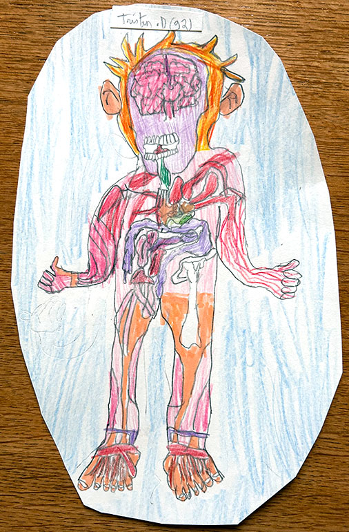 Concours de dessins - Corps