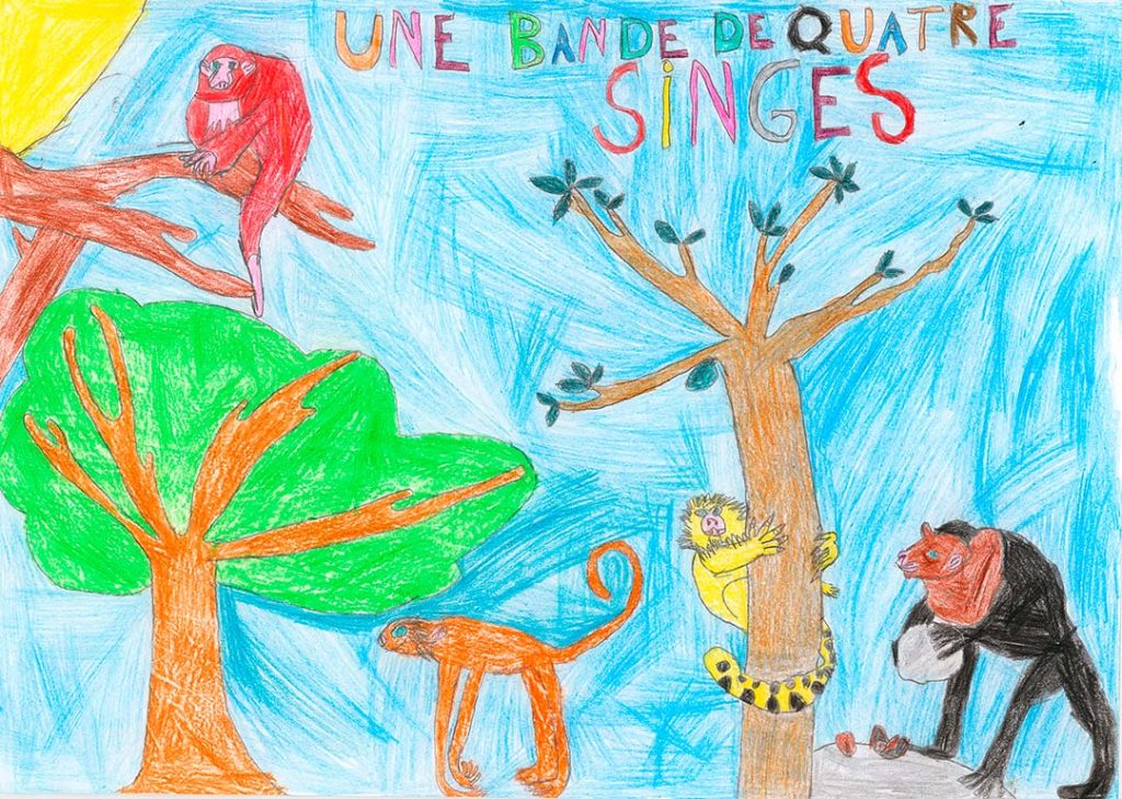 Concours de dessins - Singes