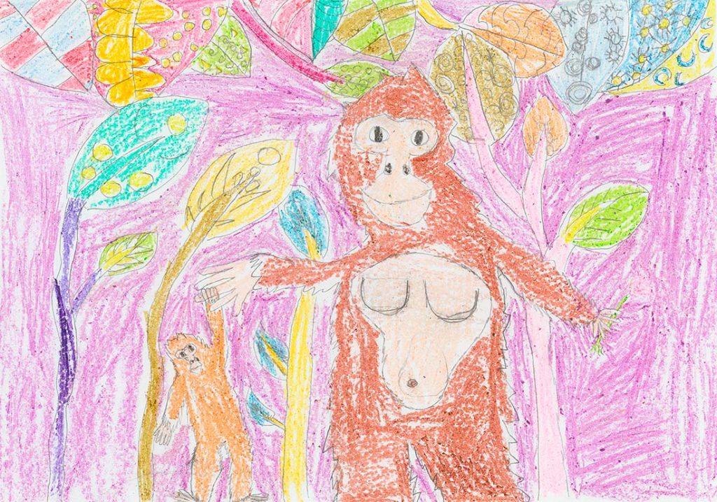 Concours de dessins - Singes