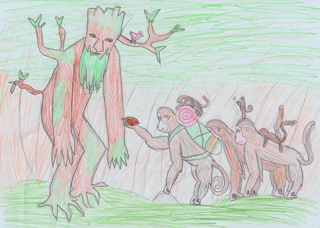 Concours de dessins - Singes
