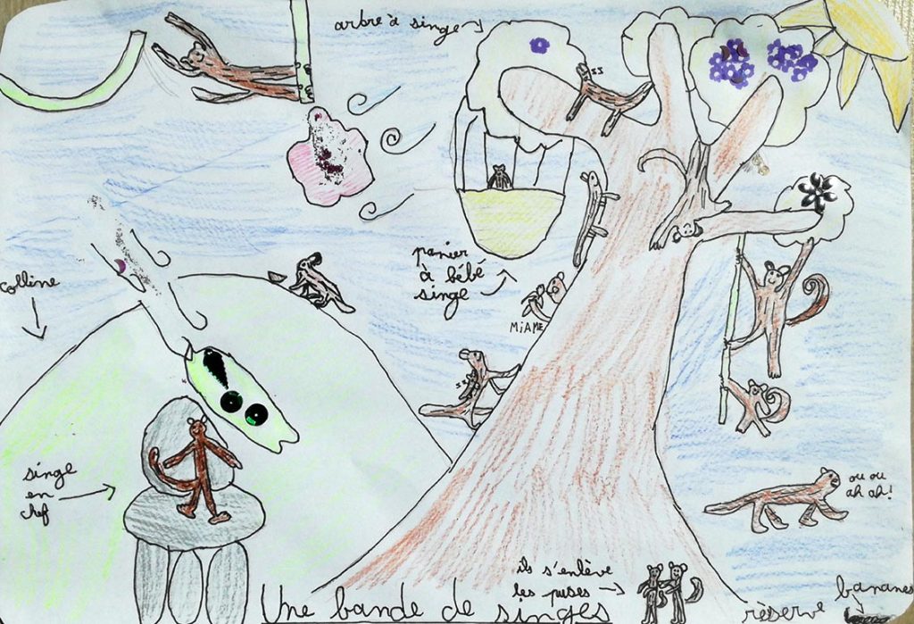Concours de dessins - Singes