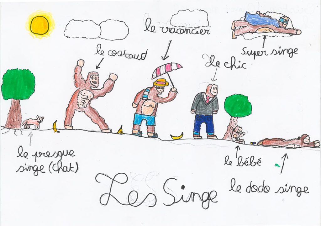 Concours de dessins - Singes