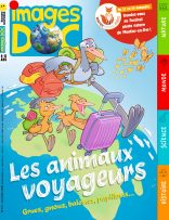 Couverture du magazine Images Doc n°431, novembre 2024 - Les animaux voyageurs : grues, gnous, baleines, papillons…
