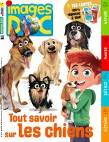 Couverture du magazine Images Doc n°433, janvier 2025 - Tout savoir sur les chiens
