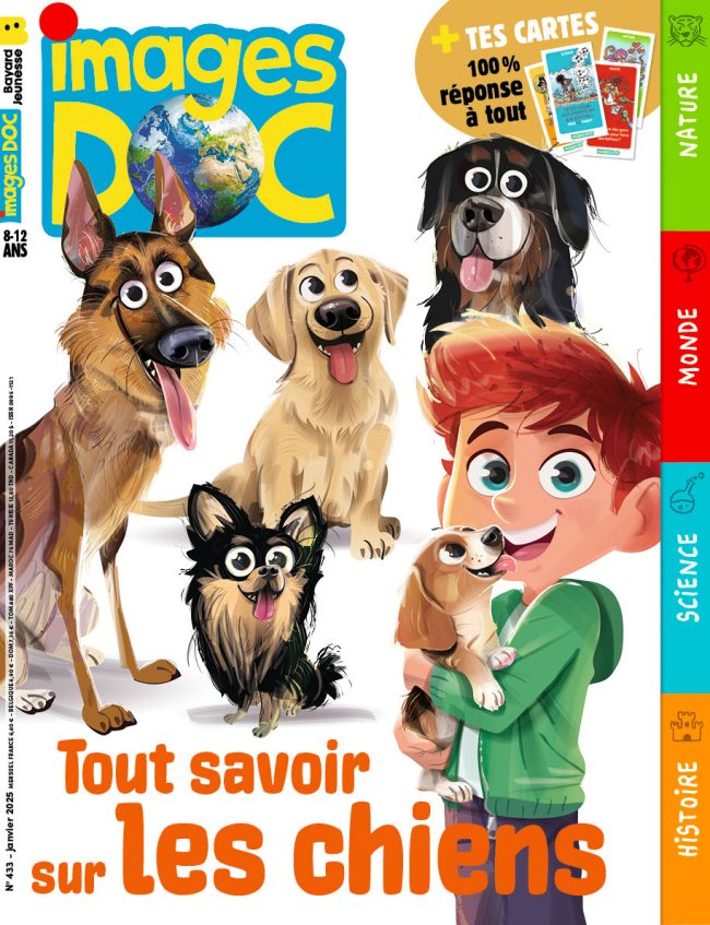 Tout savoir sur les chiens