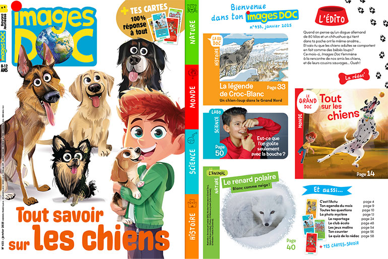 Couverture et sommaire du magazine Images Doc n°433, janvier 2025 - Tout savoir sur les chiens