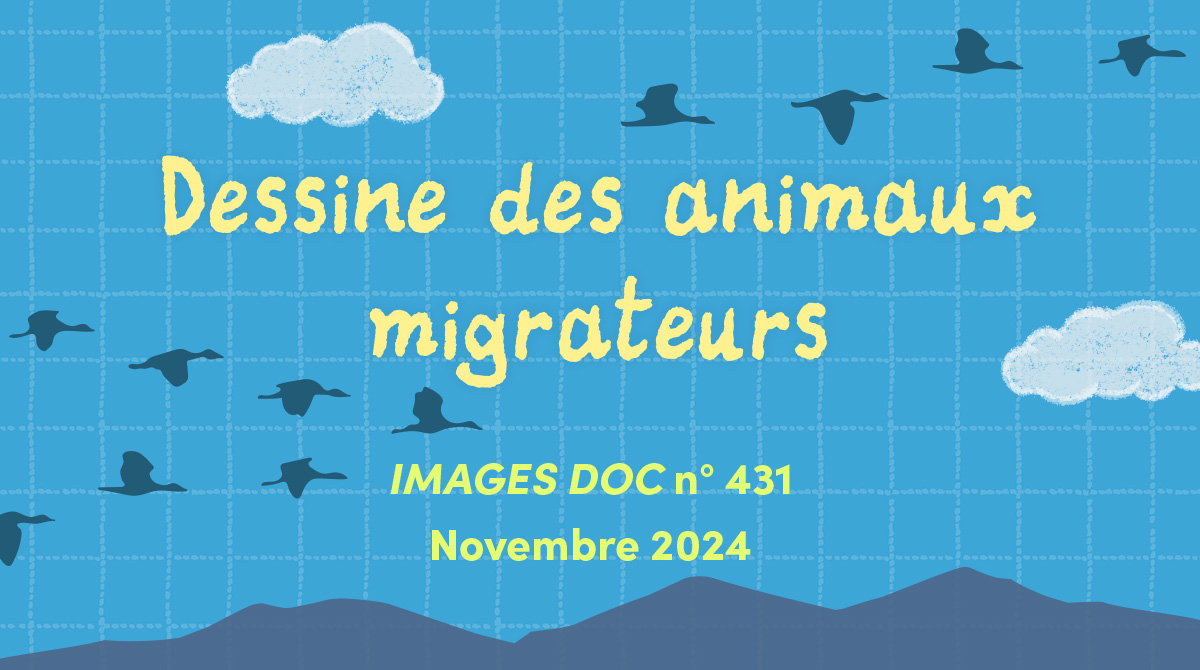 IMD - Concours dessins - Animaux migrateurs