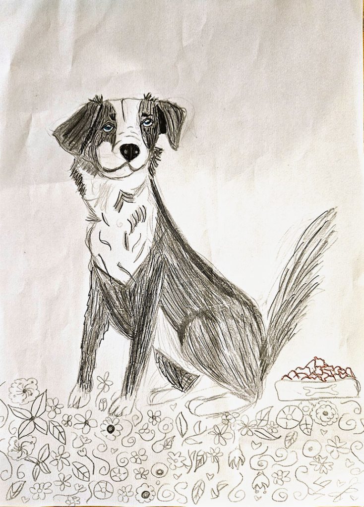 Concours de dessins - Chien