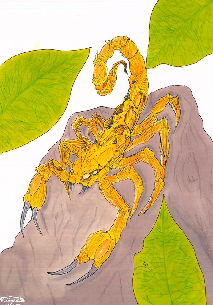 Concours de dessins - Scorpion