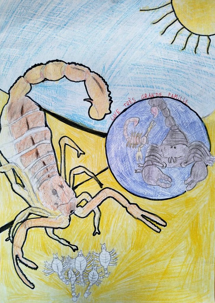 Concours de dessins - Scorpion