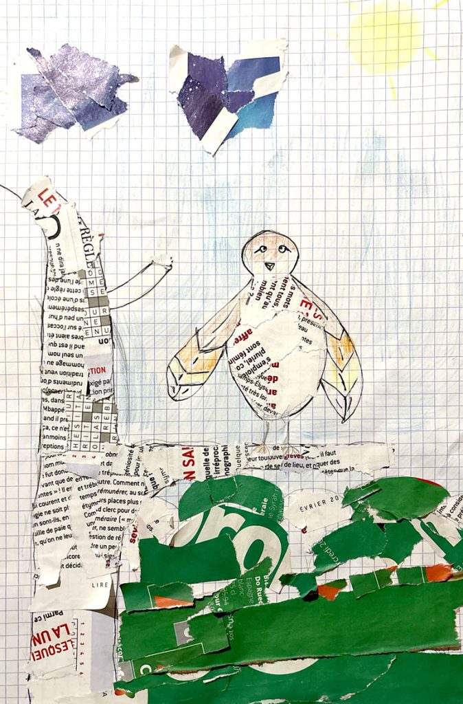 Concours de dessins - Oiseau