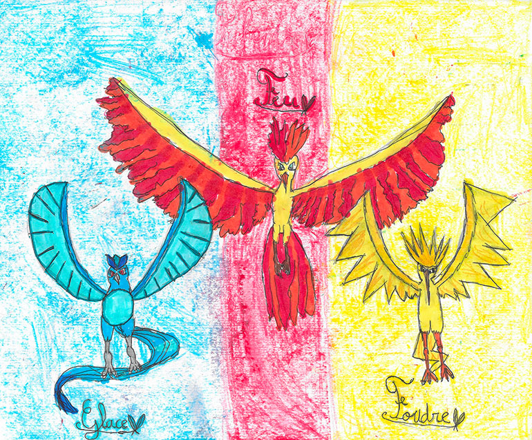 Concours de dessins - Oiseau