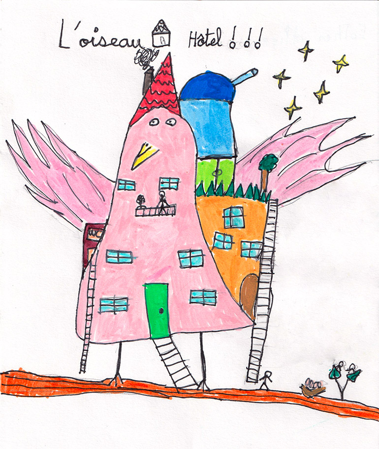 Concours de dessins - Oiseau