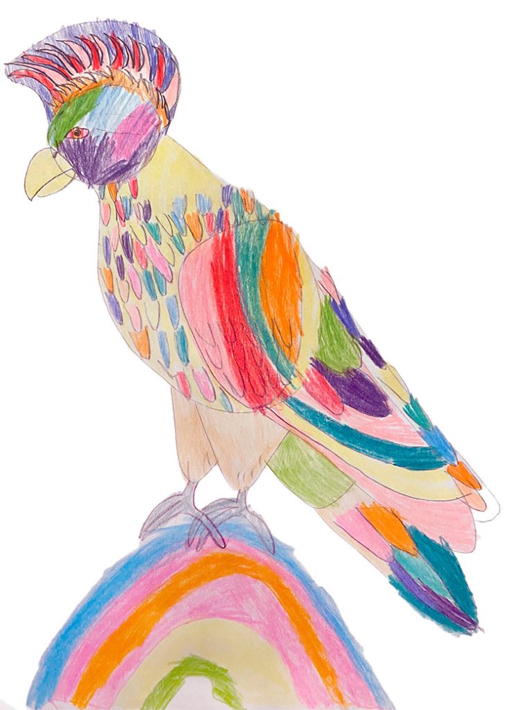 Concours de dessins - Oiseau