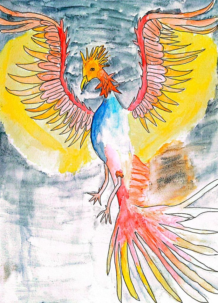 Concours de dessins - Oiseau