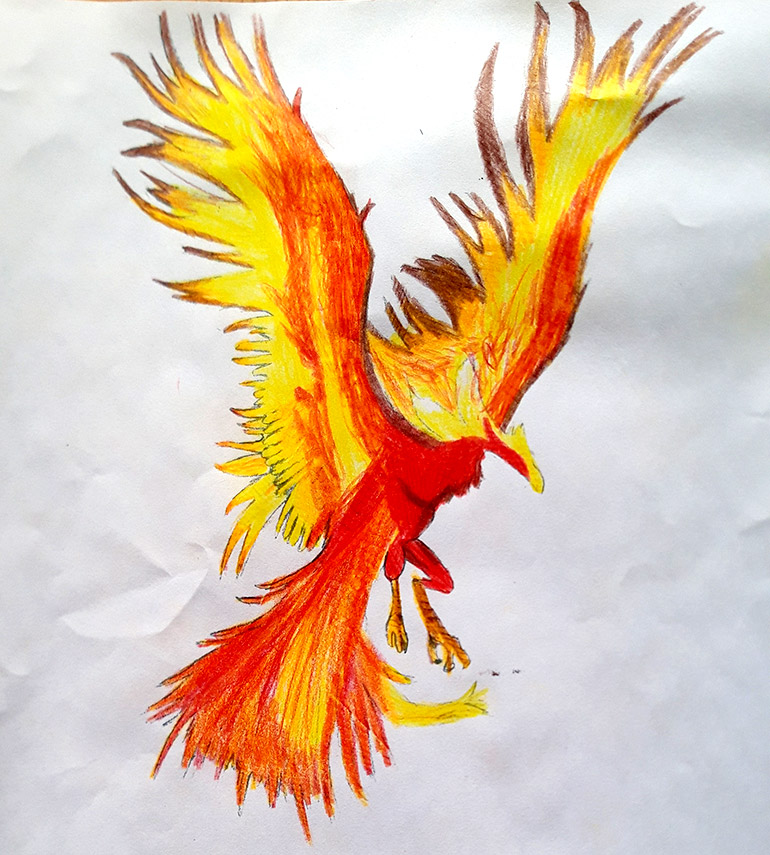 Concours de dessins - Oiseau