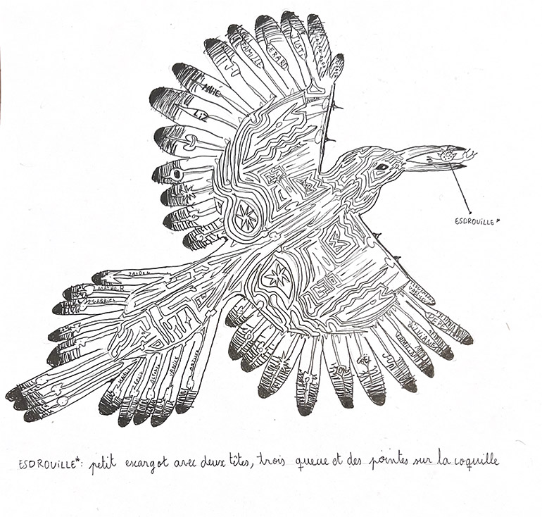 Concours de dessins - Oiseau