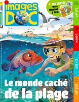 Couverture du magazine Images Doc n°439, juillet 2025 - Le monde caché de la plage.