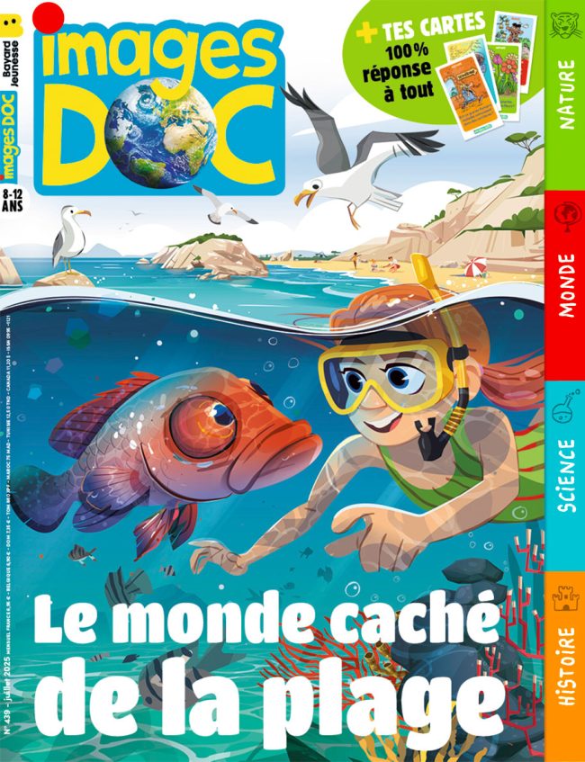 Le monde caché de la plage