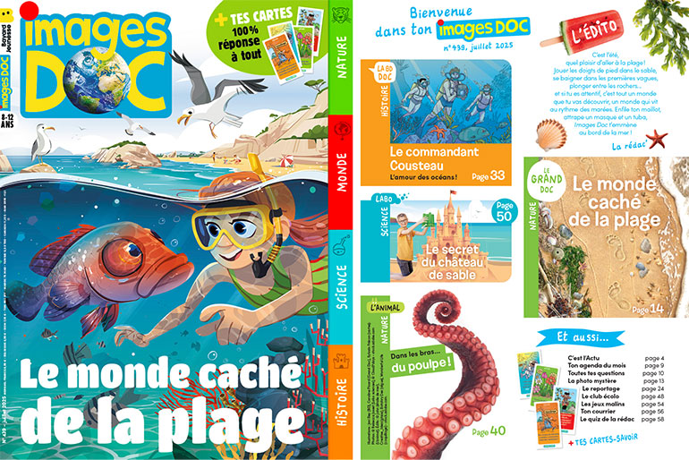 Couverture et sommaire du magazine Images Doc n°439, juillet 2025 - Le monde caché de la plage.