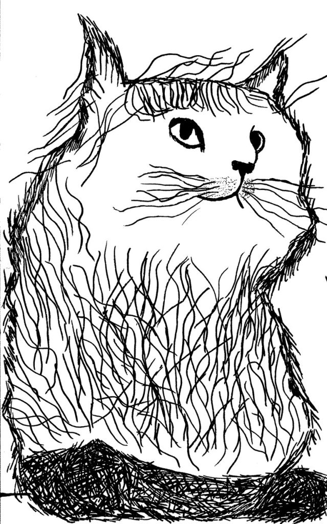 Concours de dessins - Félin