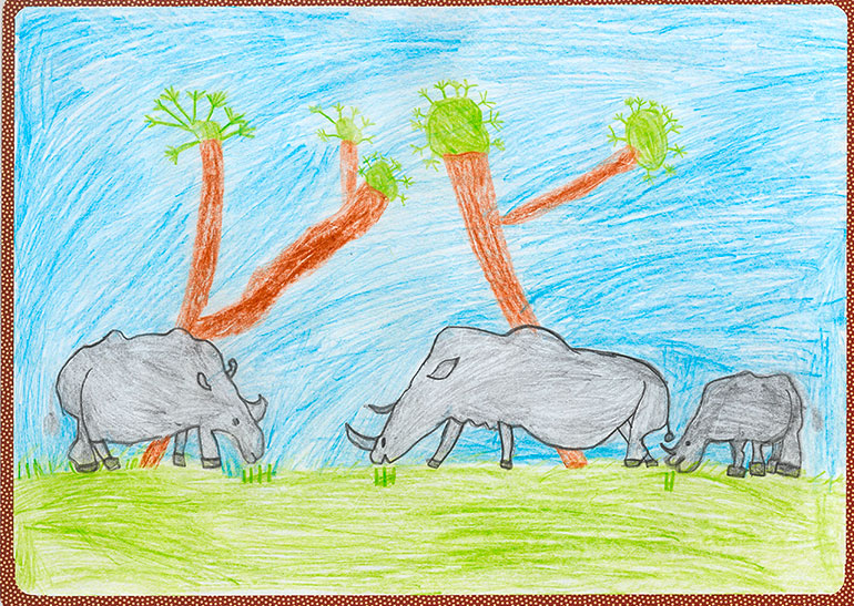 Concours de dessins - Rhino