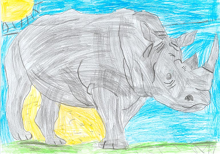 Concours de dessins - Rhino