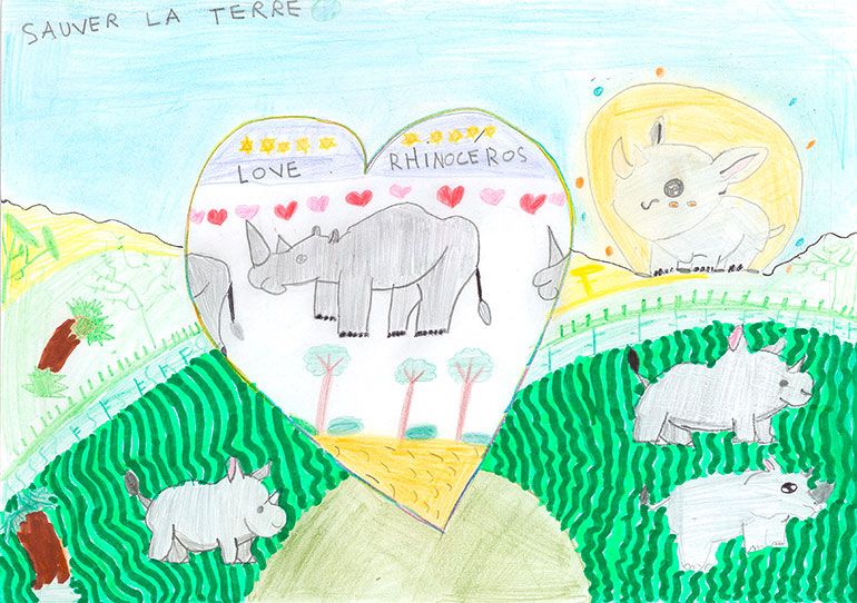 Concours de dessins - Rhino