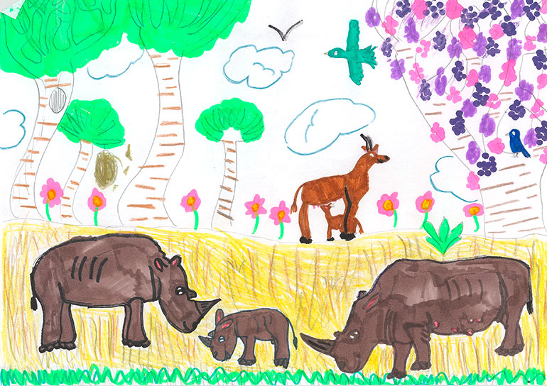 Concours de dessins - Rhino