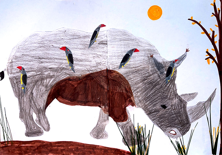Concours de dessins - Rhino