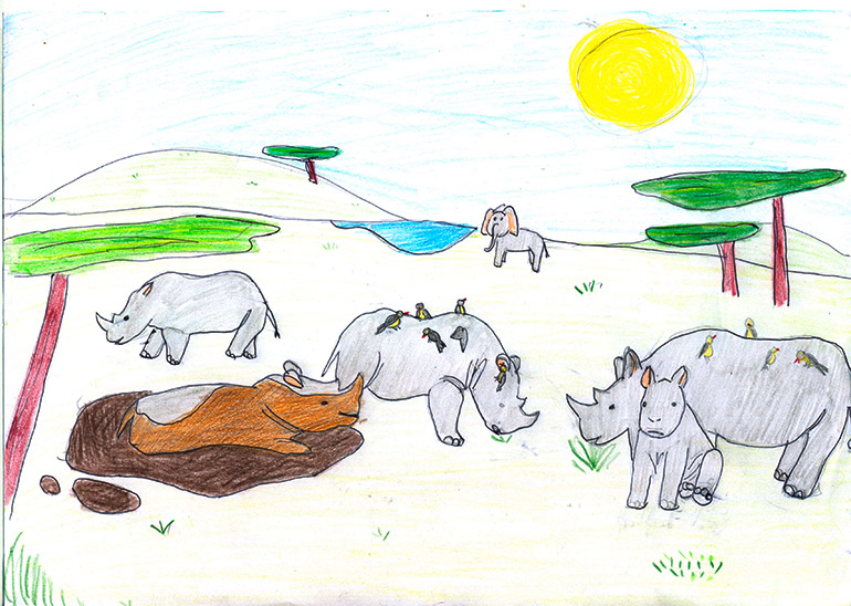 Concours de dessins - Rhino