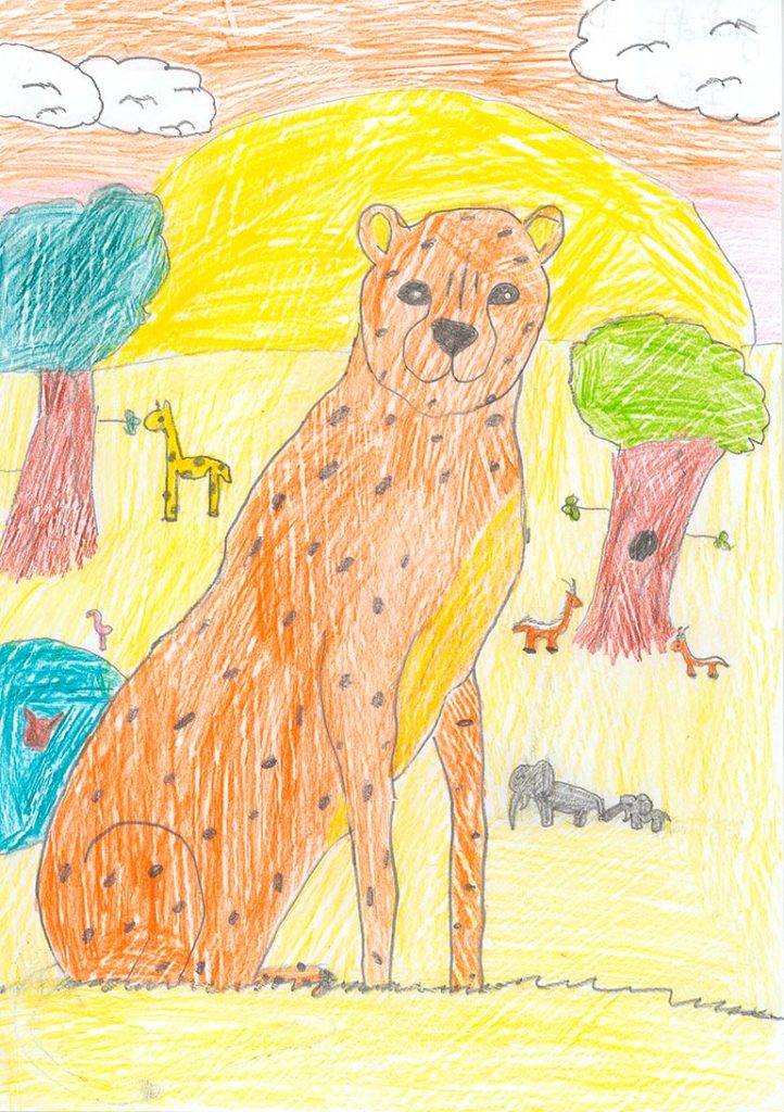 Concours de dessins - Félin
