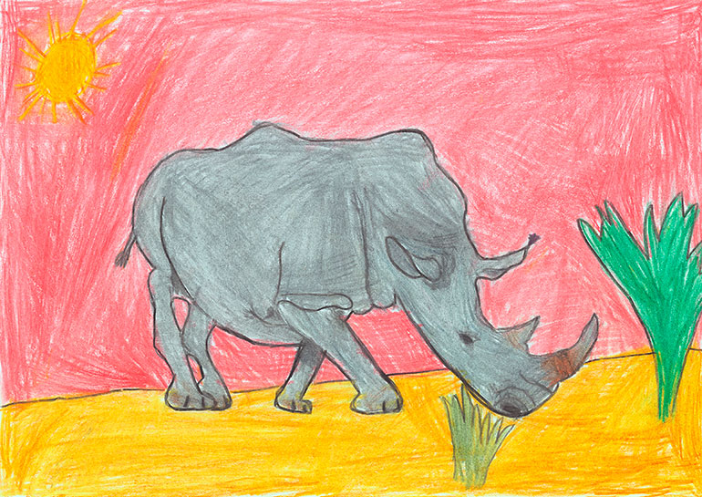 Concours de dessins - Rhino