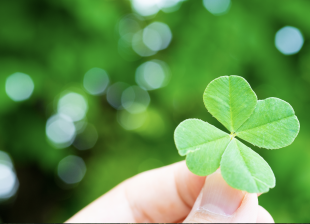 Les trèfles à quatre feuilles existent-ils vraiment ? Mathias, 9 ans